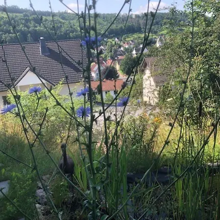 Haus Leenja Apartment Beverungen